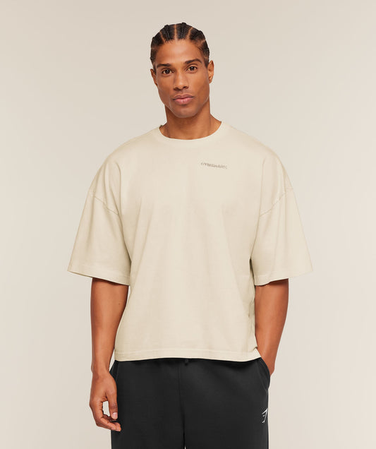 Accent Boxy T-Shirt - US 3830