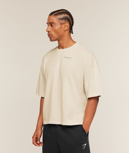 Accent Boxy T-Shirt - US 3830