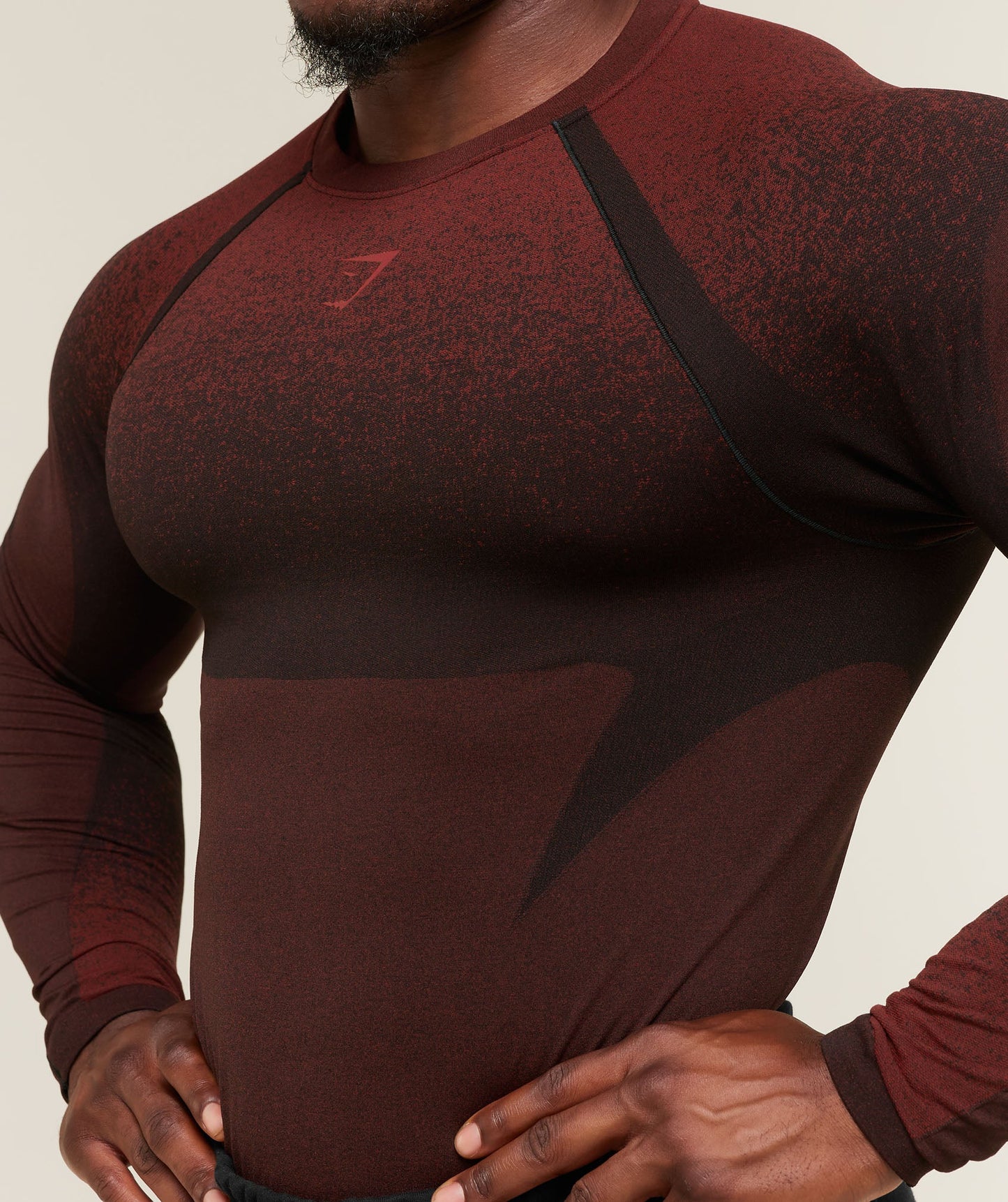 Shadow Seamless Long Sleeve T-Shirt - US 2246