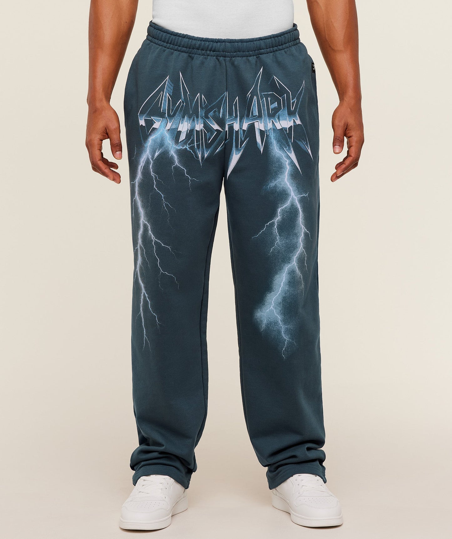 Eagle Band Style Graphic Straight Leg Pants - US 6937