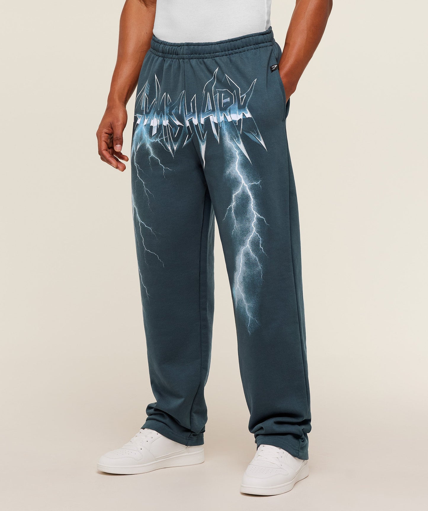 Eagle Band Style Graphic Straight Leg Pants - US 6937