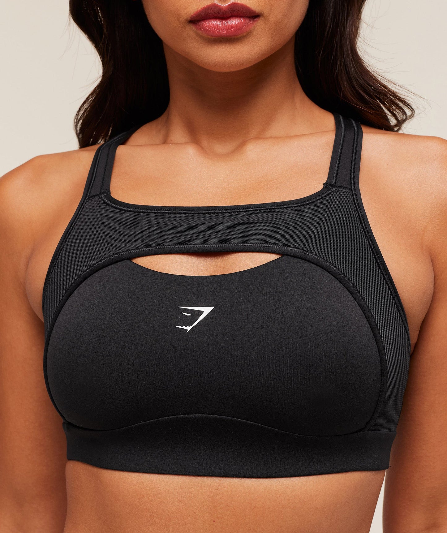 Alpha High Support Sports Bra - US 8070