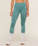 Running Seamless Leggings - US 6048